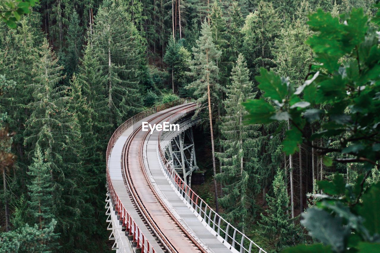 High angle view of railroad tracks amidst trees in forest