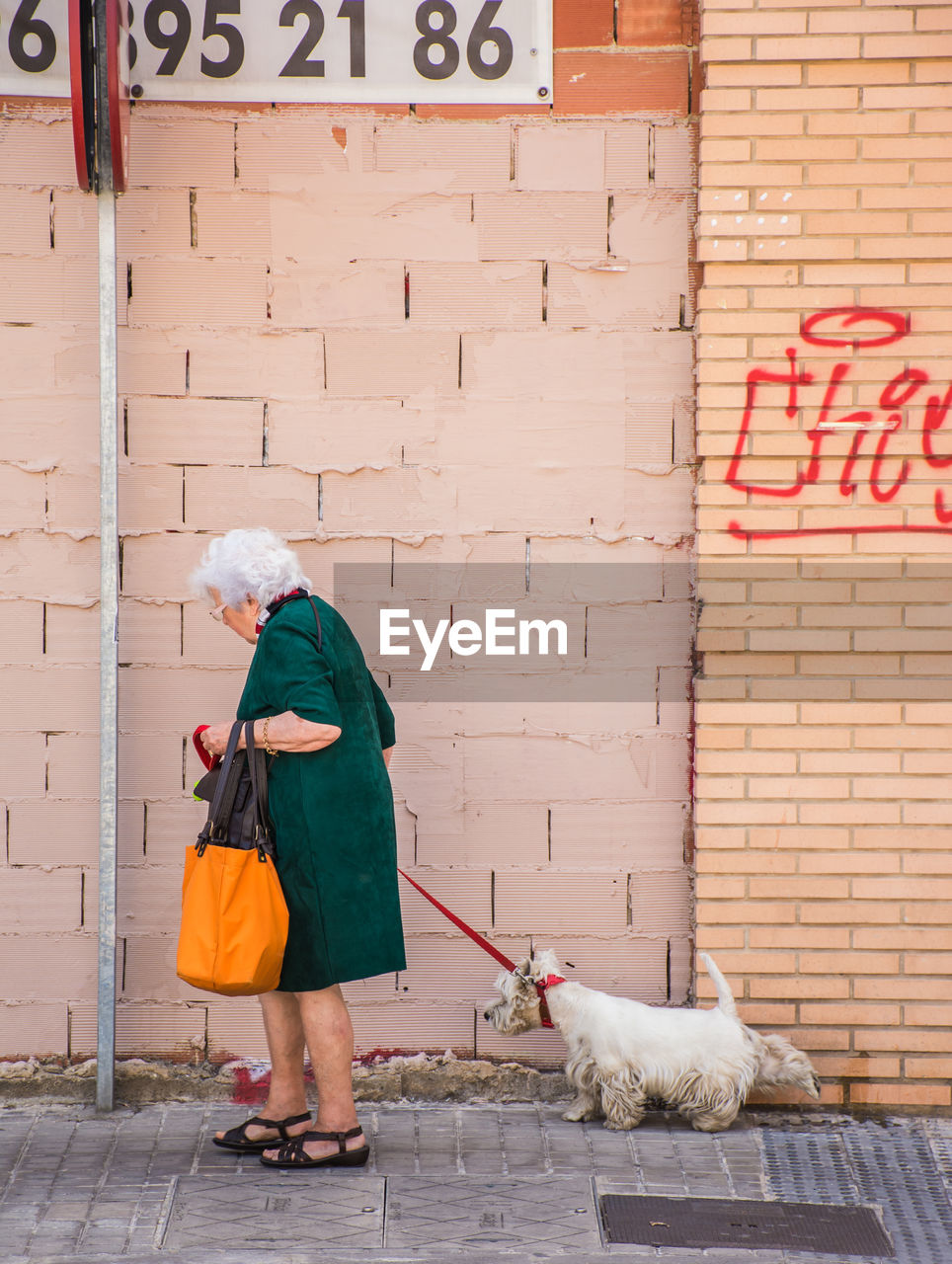 MAN WITH DOG STANDING BY TEXT ON WALL