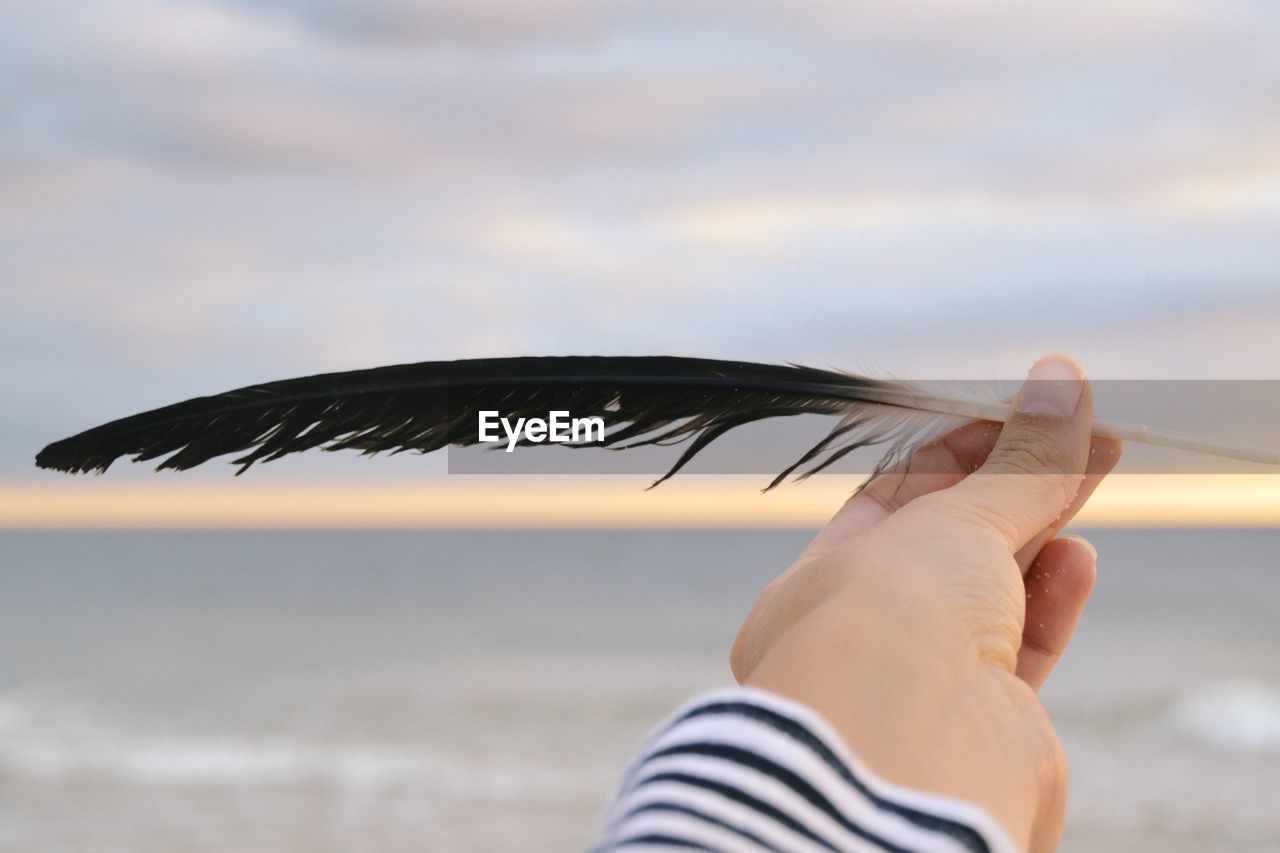 Cropped hand of woman holding feather at beach