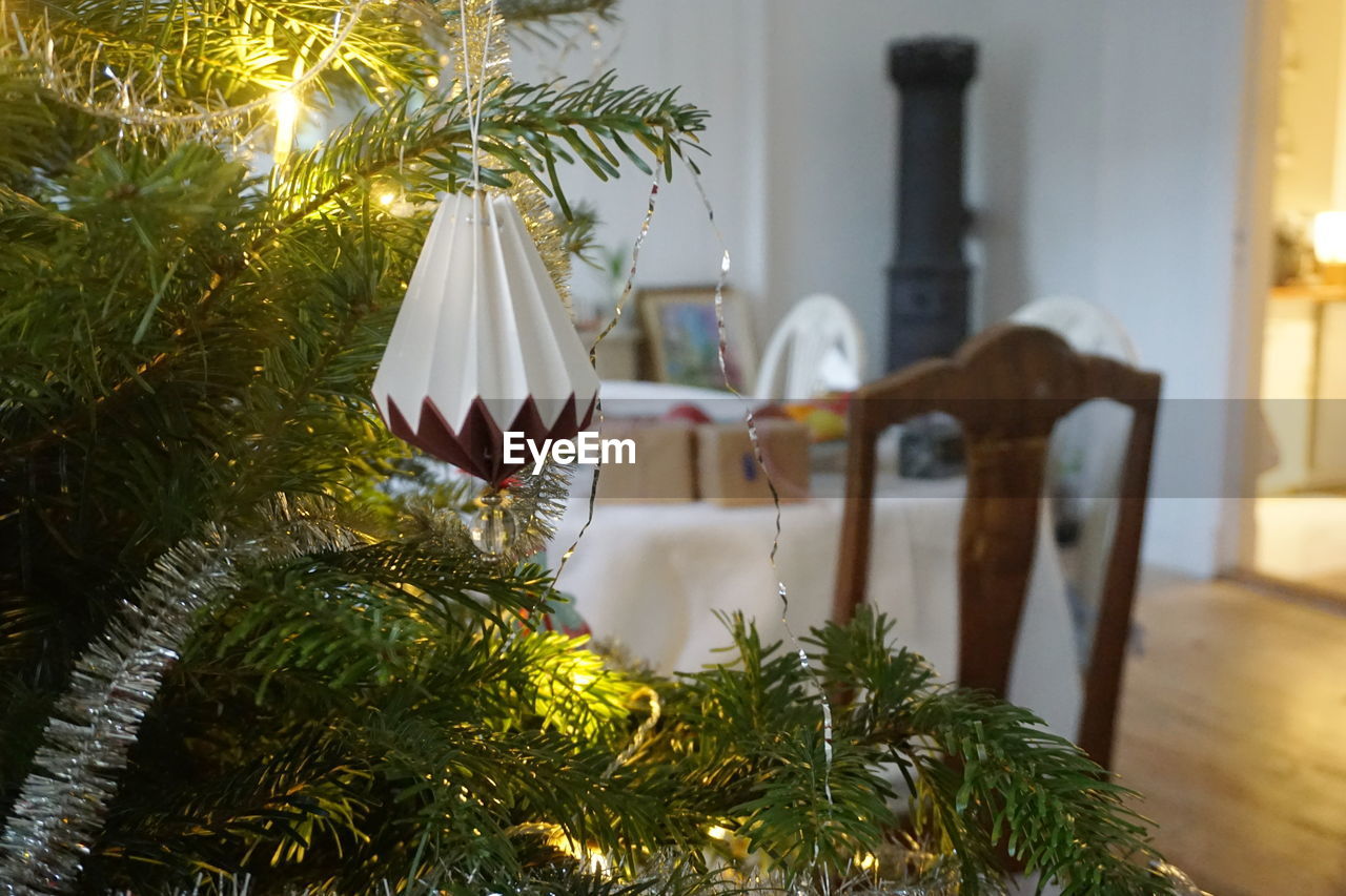 CLOSE-UP OF CHRISTMAS TREE AT HOME