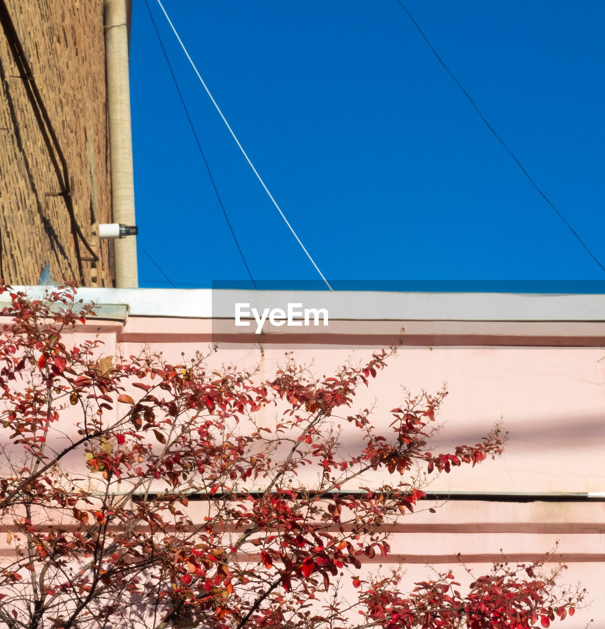 Low angle view of building