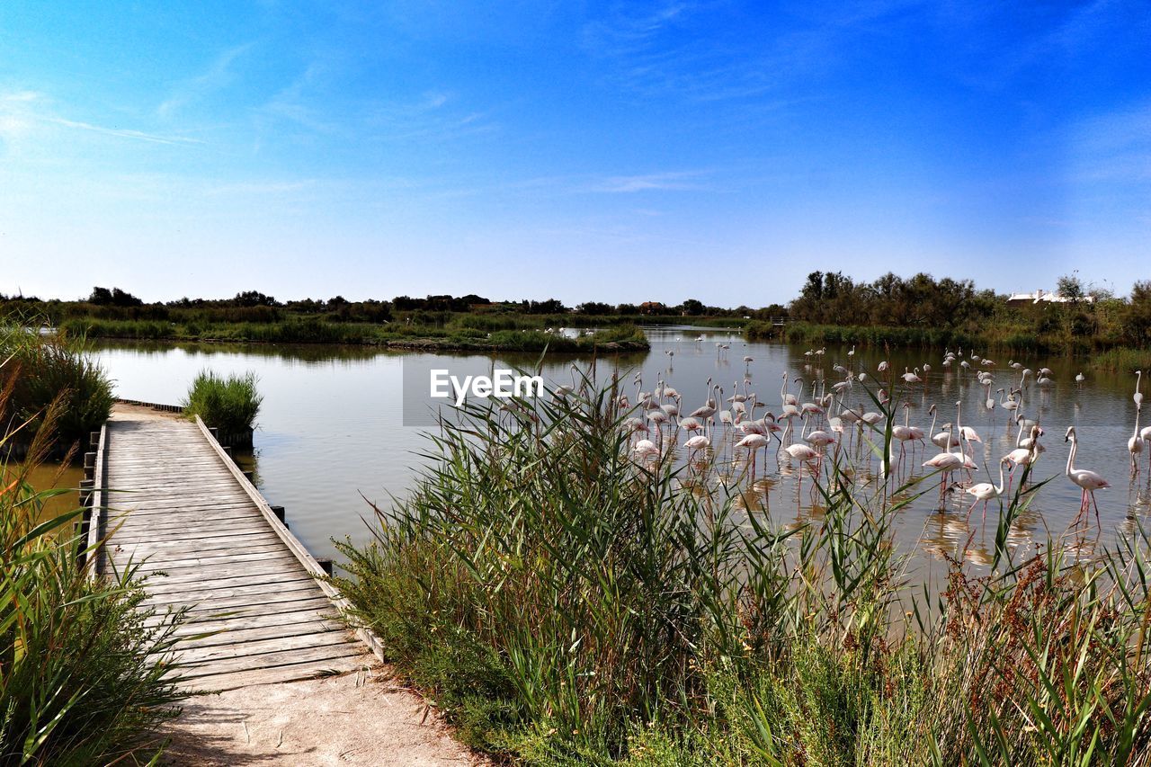 VIEW OF LAKE AGAINST SKY