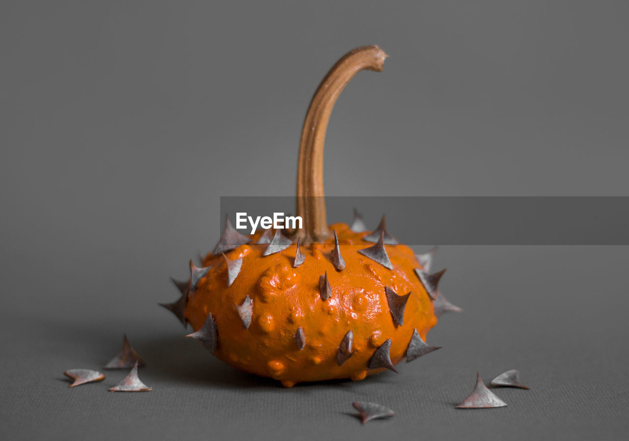 Close-up of orange pumpkin with spins on gray background