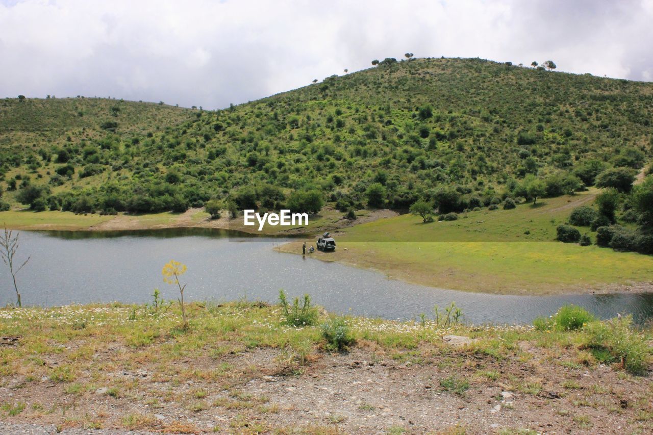 SCENIC VIEW OF LAND AND TREES AGAINST SKY