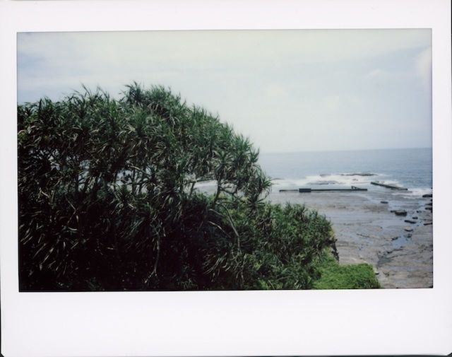 plant, water, sea, sky, nature, tree, land, scenics - nature, no people, beauty in nature, beach, tranquility, horizon, horizon over water, day, tranquil scene, picture frame, outdoors, cloud, frame, grass, art, transfer print, coast, auto post production filter, copy space, growth