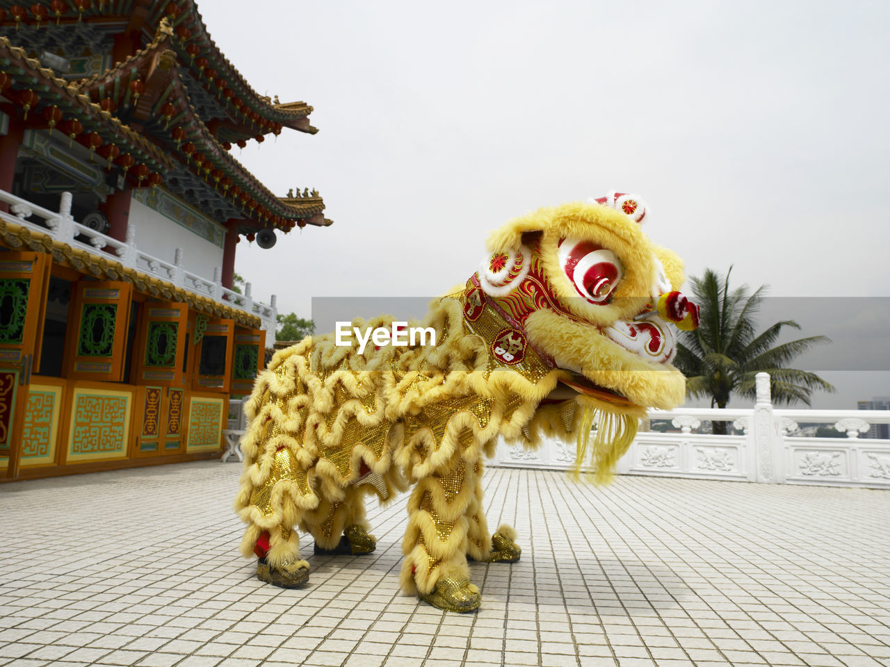 Yellow lion dance at temple