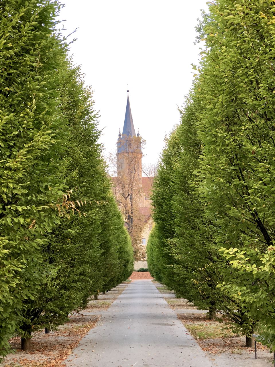 FOOTPATH AMIDST TREES LEADING TOWARDS BUILDING AGAINST SKY