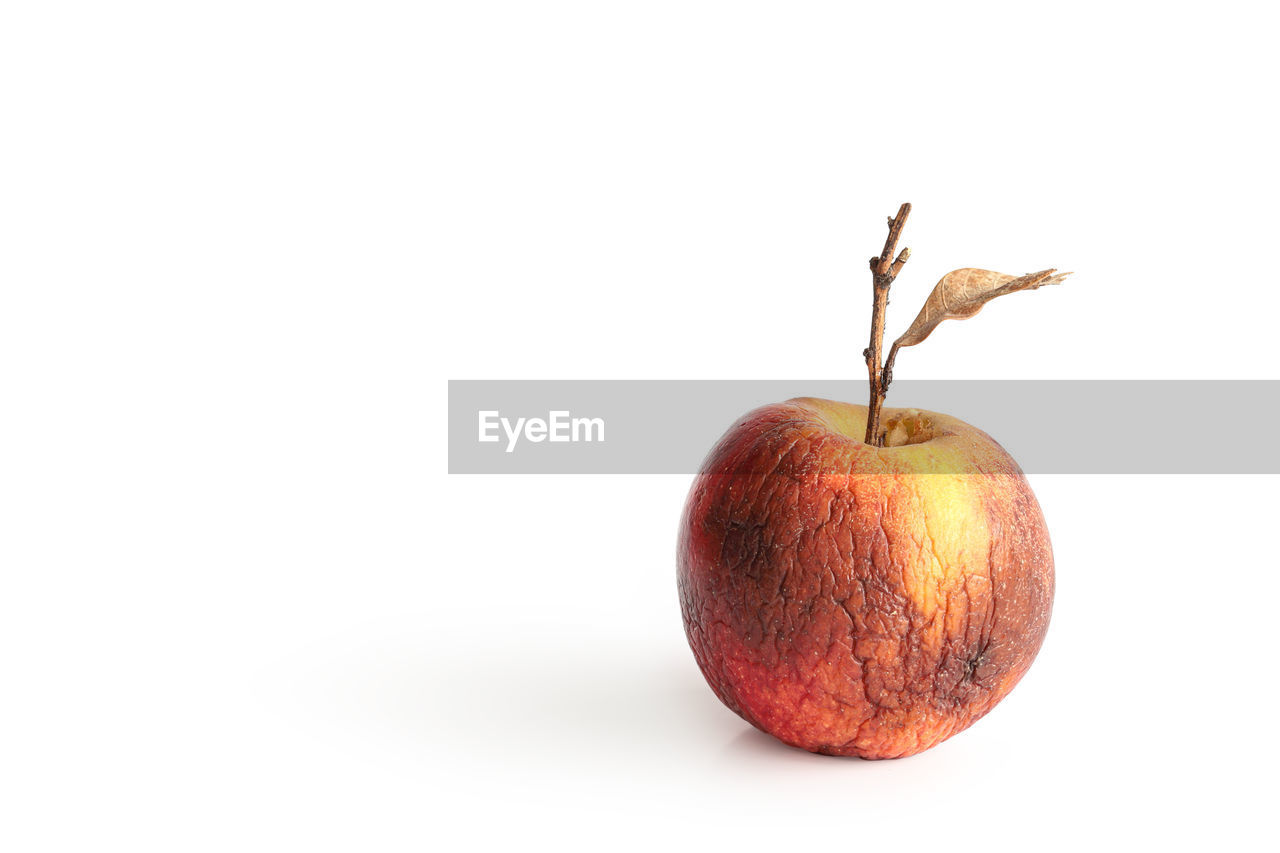 CLOSE-UP OF APPLE