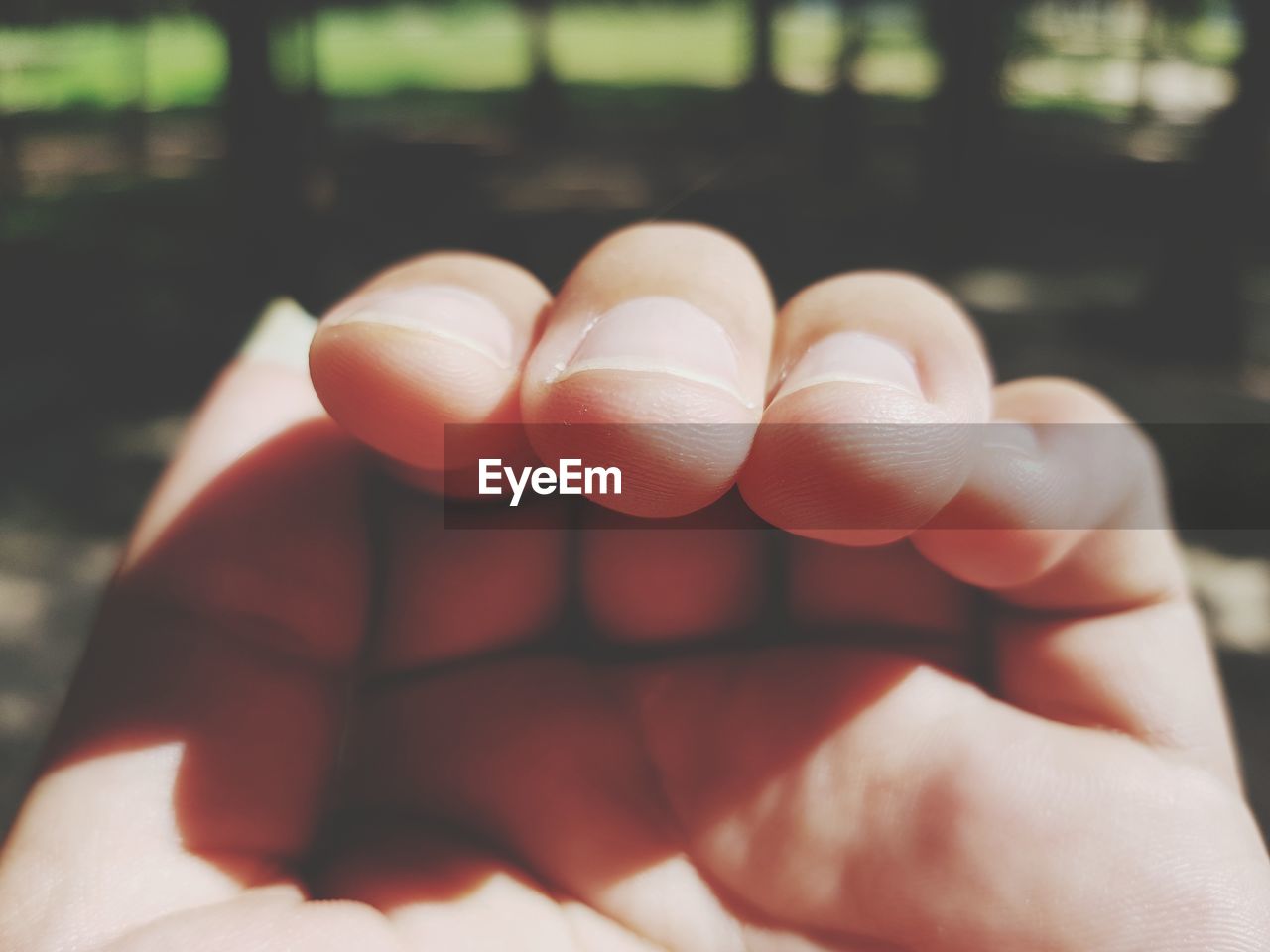 CLOSE-UP OF PERSON HAND HOLDING BLURRED BACKGROUND