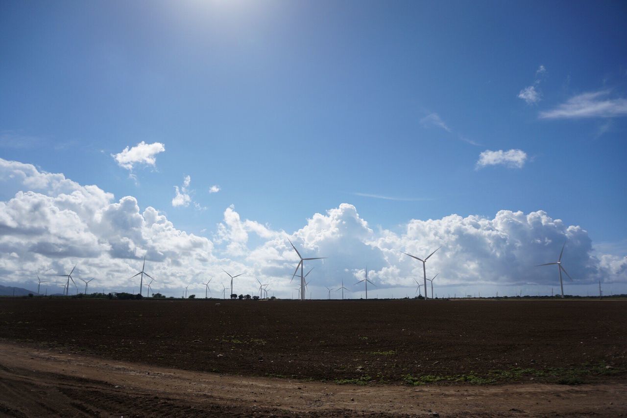 WIND TURBINES IN FIELD