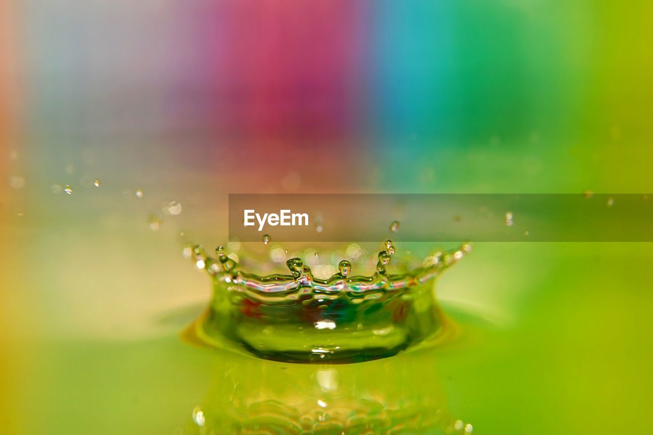 Close-up of water drops on leaf