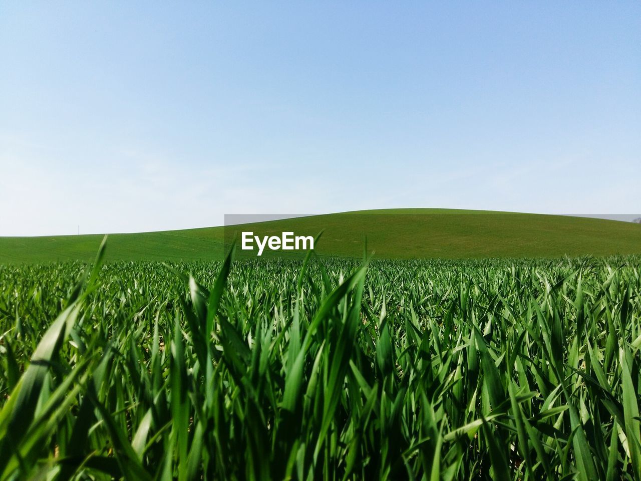 Scenic view of field against cloudy sky