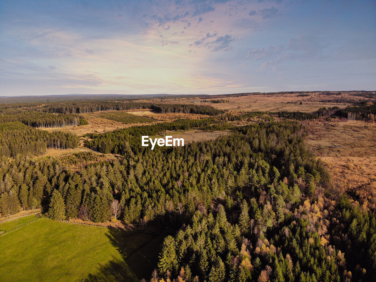 Aerial drone shot of high fens hohes venn hautes fagnes hoge venen nature reserve in belgium.