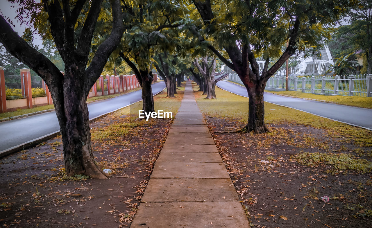 EMPTY FOOTPATH IN PARK