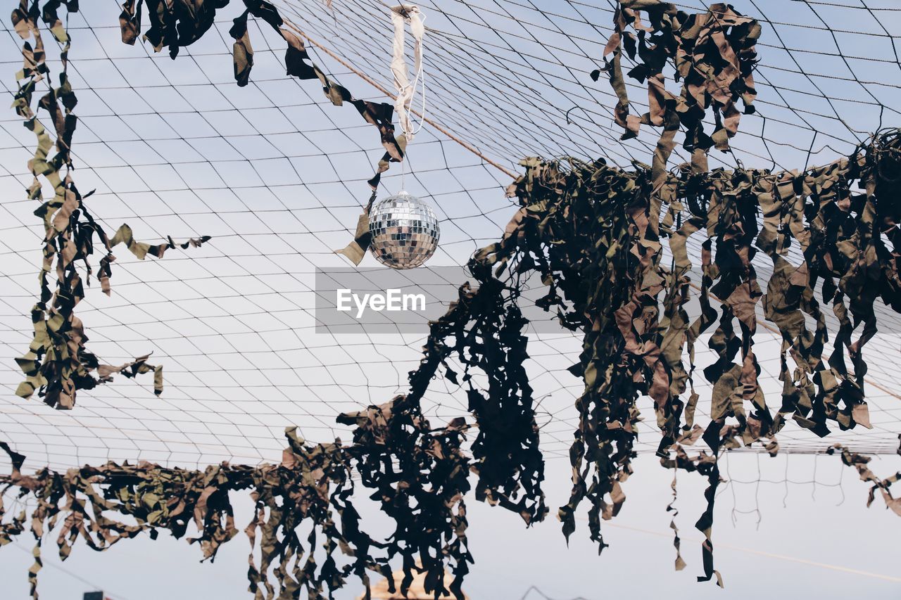 Low angle view of disco ball and seaweed hanging on fishing net