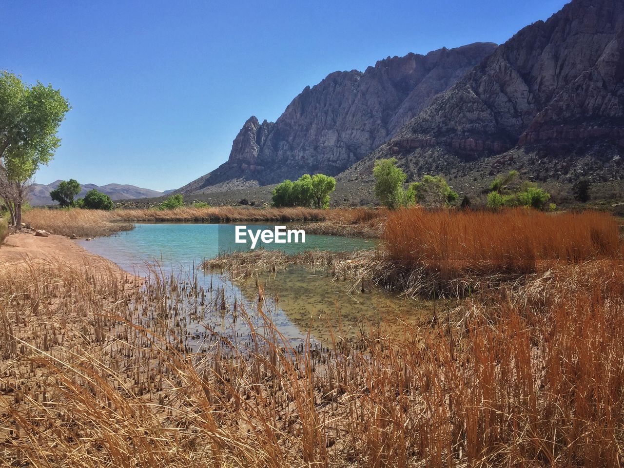 Scenic view of calm lake