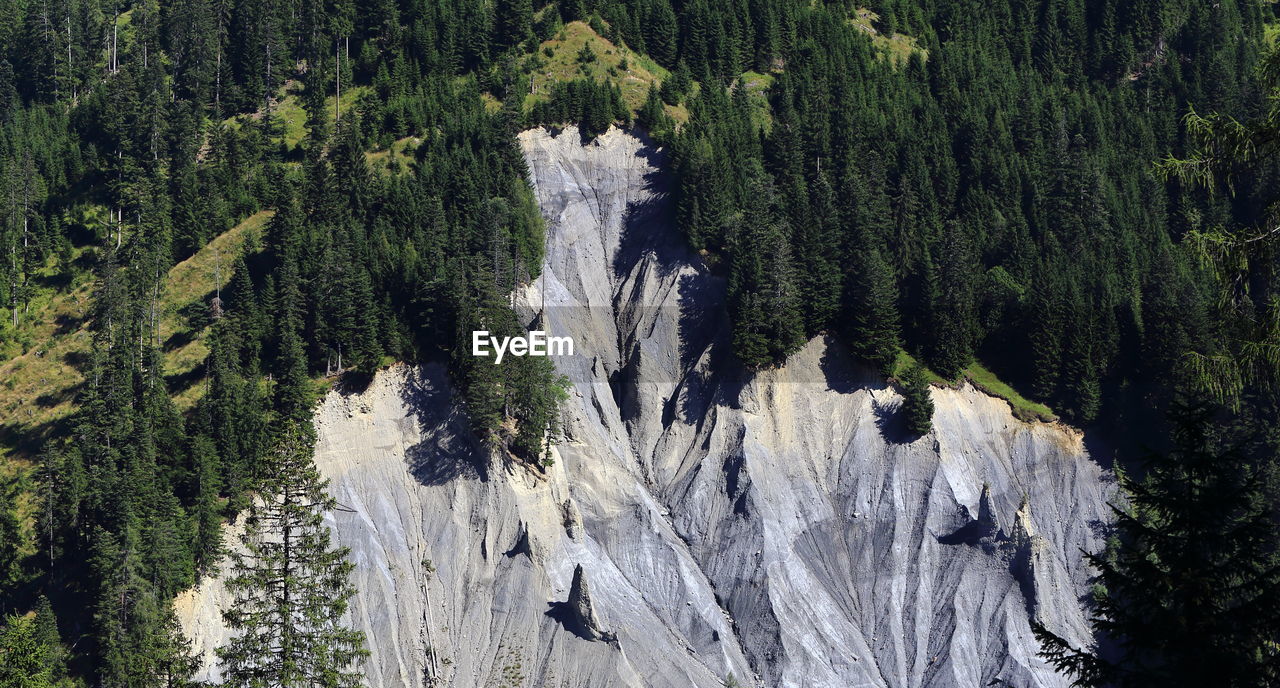 PANORAMIC VIEW OF TREES AND WATER