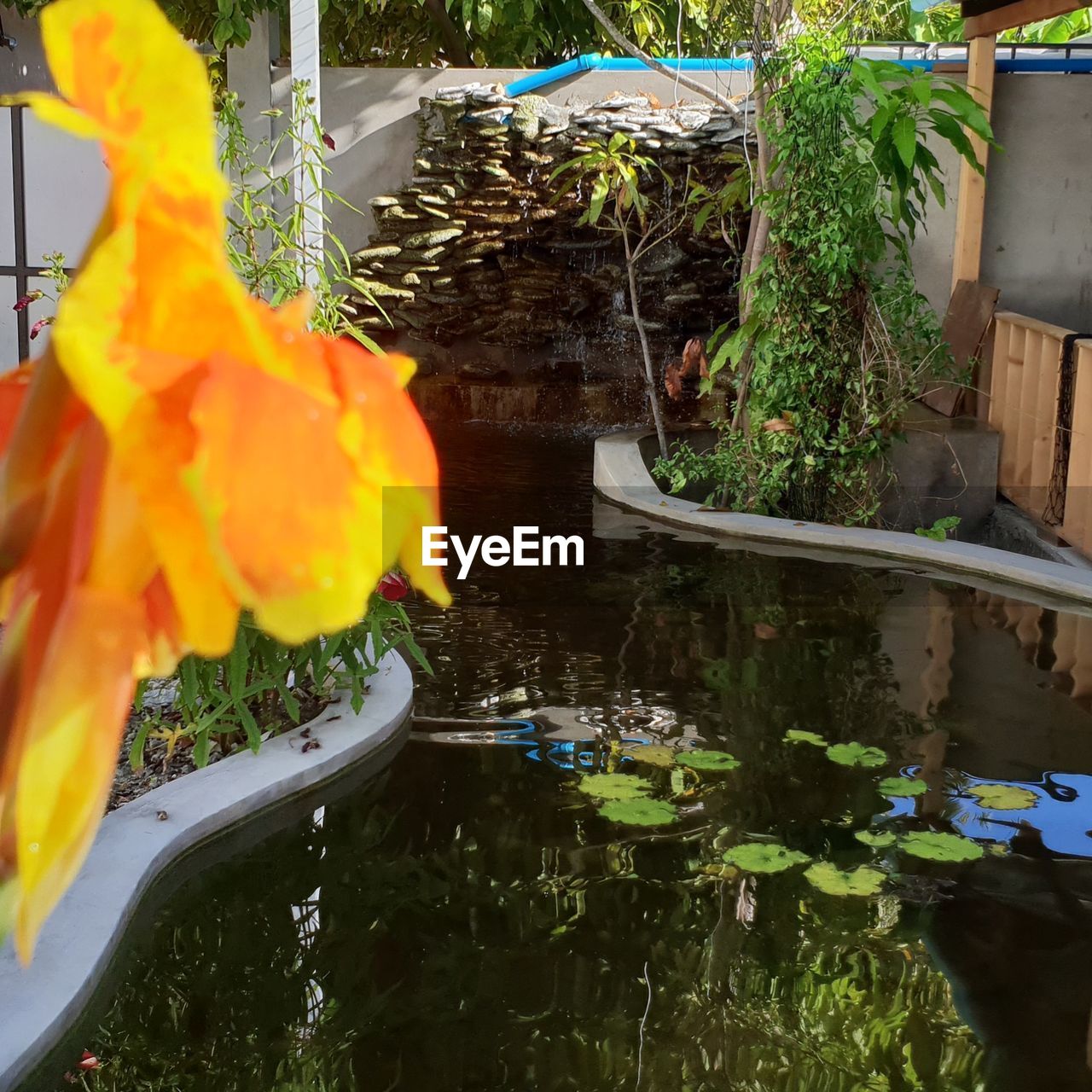 SCENIC VIEW OF LAKE AND PLANTS BY RED BOAT