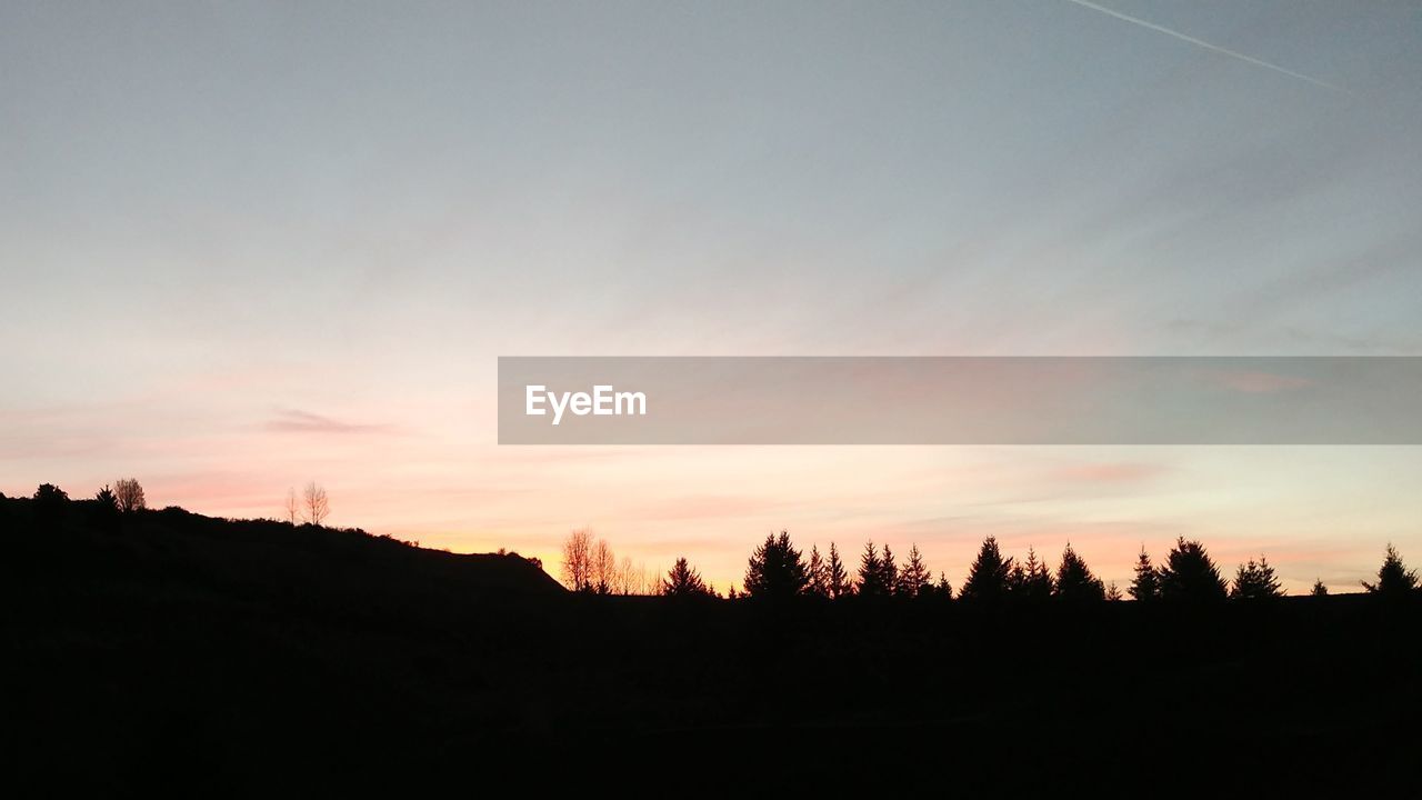 SILHOUETTE TREES ON LANDSCAPE AGAINST SKY