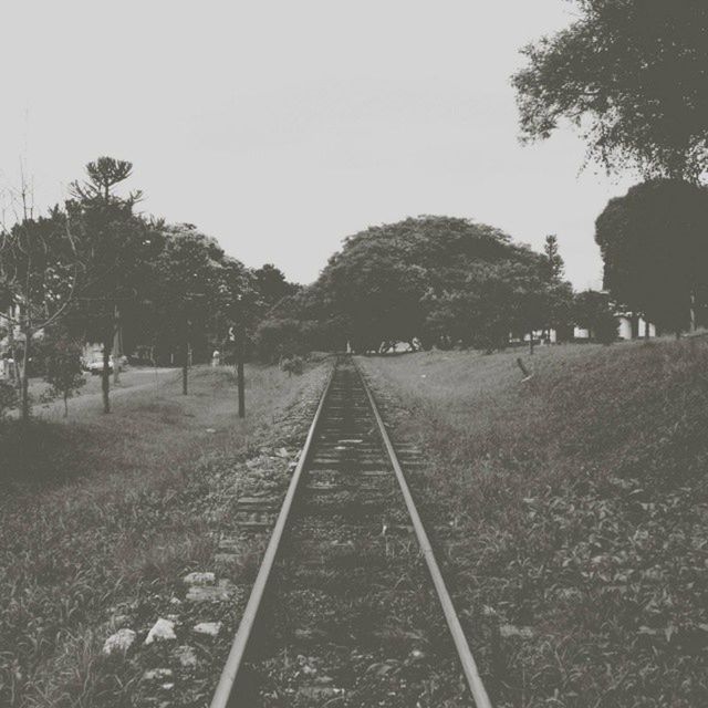 Close-up of railroad track with sky and tree in background