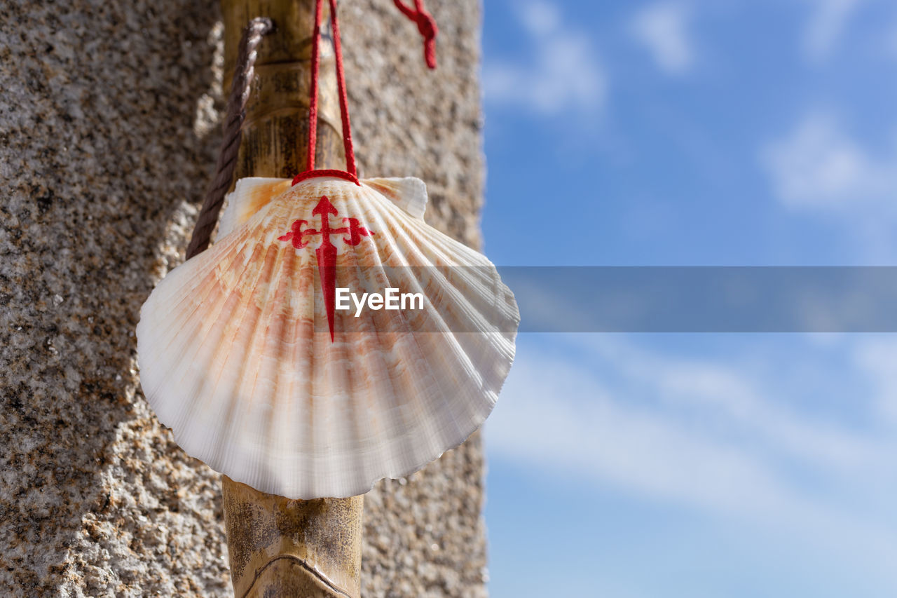 Low angle view of shells on wall against sky