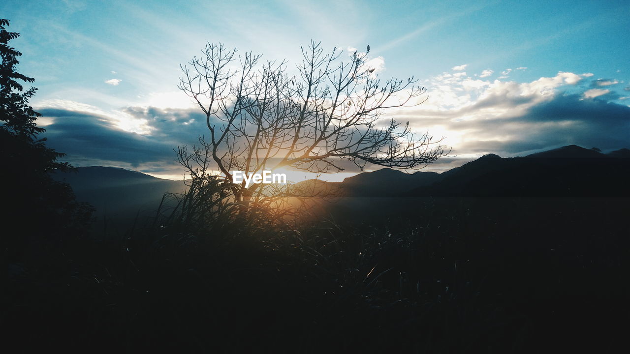 SILHOUETTE TREE ON MOUNTAIN AGAINST SKY