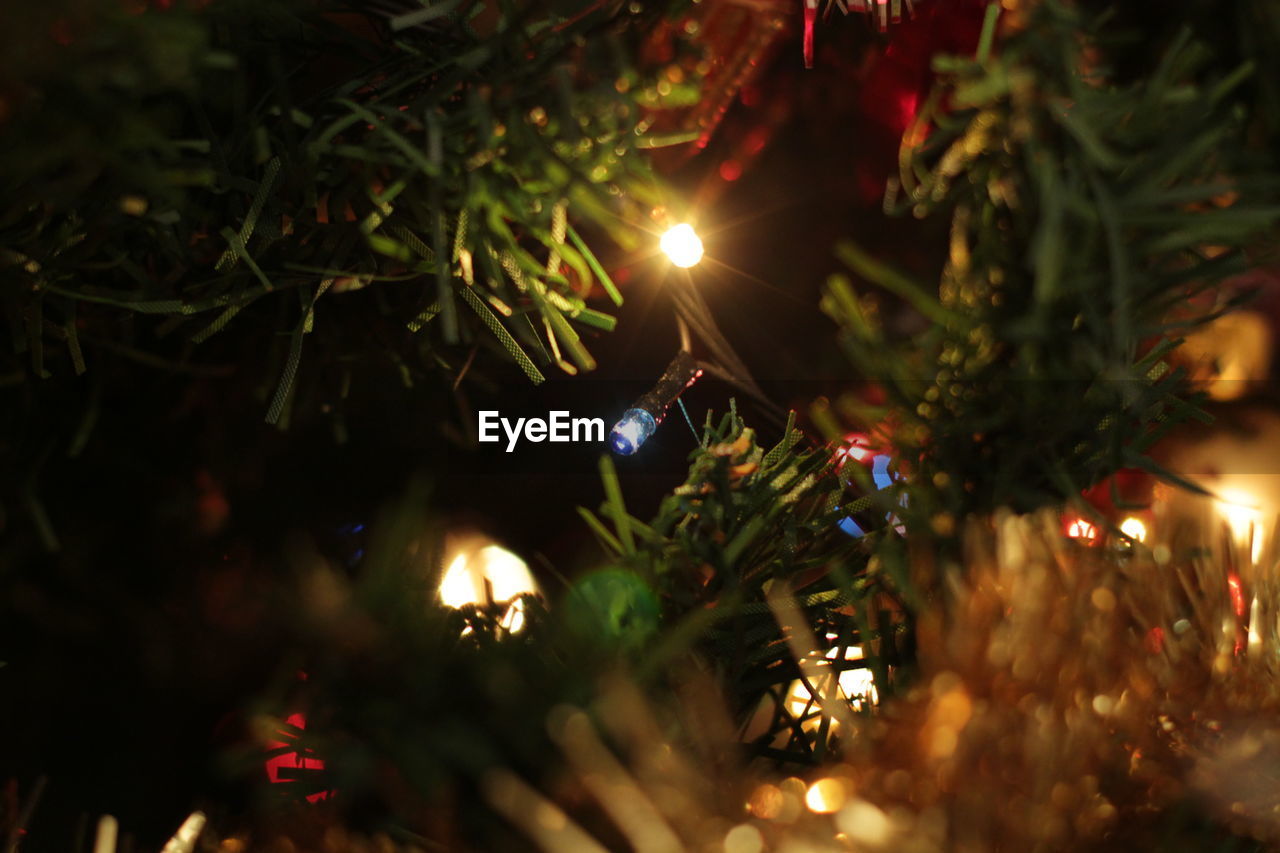 CLOSE-UP OF ILLUMINATED CHRISTMAS TREE