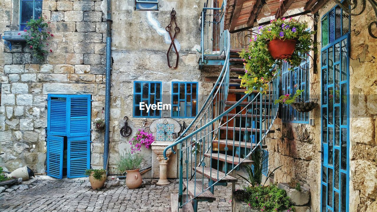 Potted plants and steps at yard