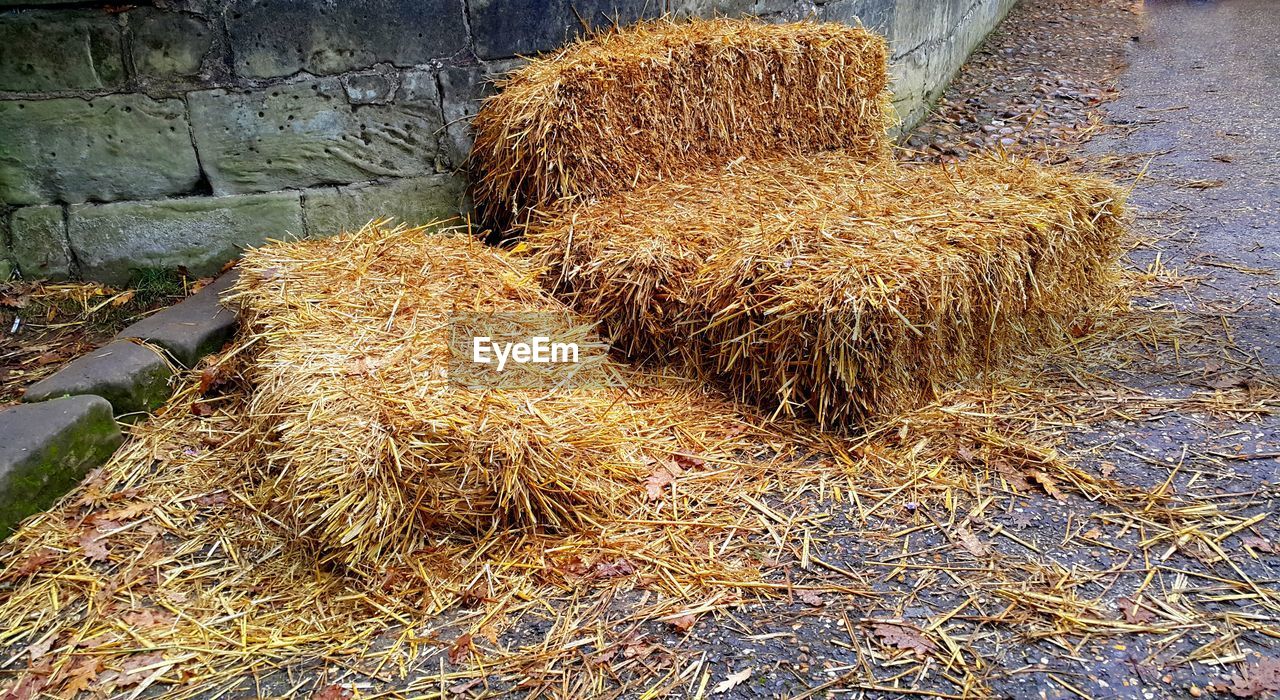 CLOSE UP OF DRYING ON HAY