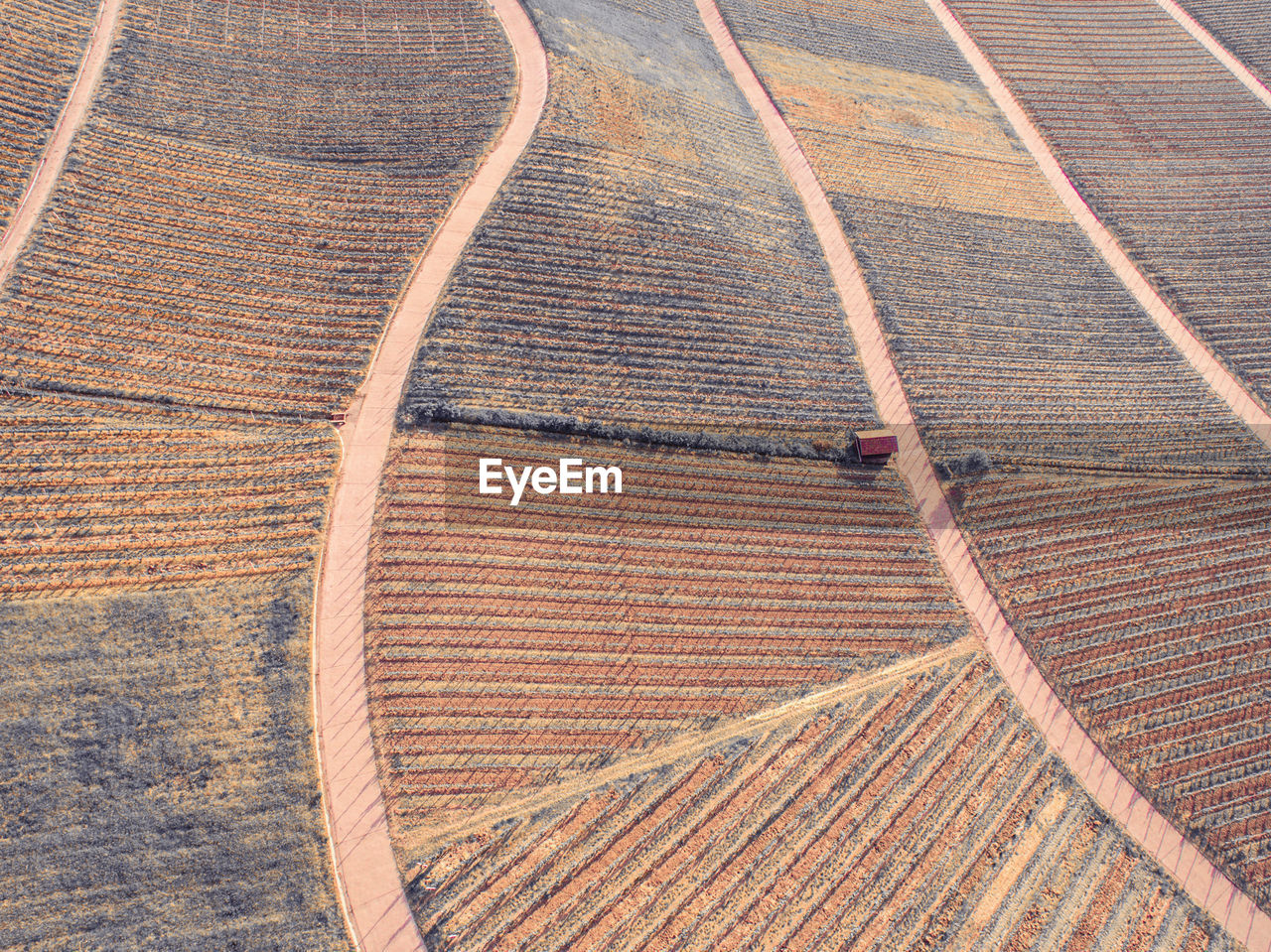 Full frame shot of agricultural field