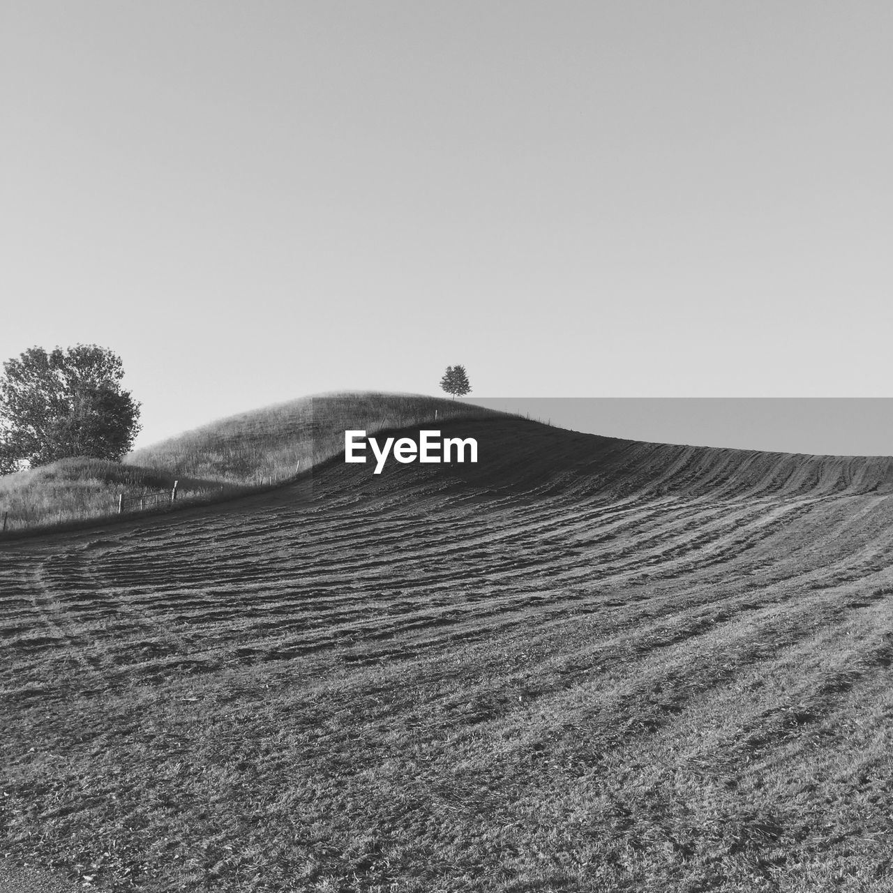 Scenic view of agricultural field against clear sky