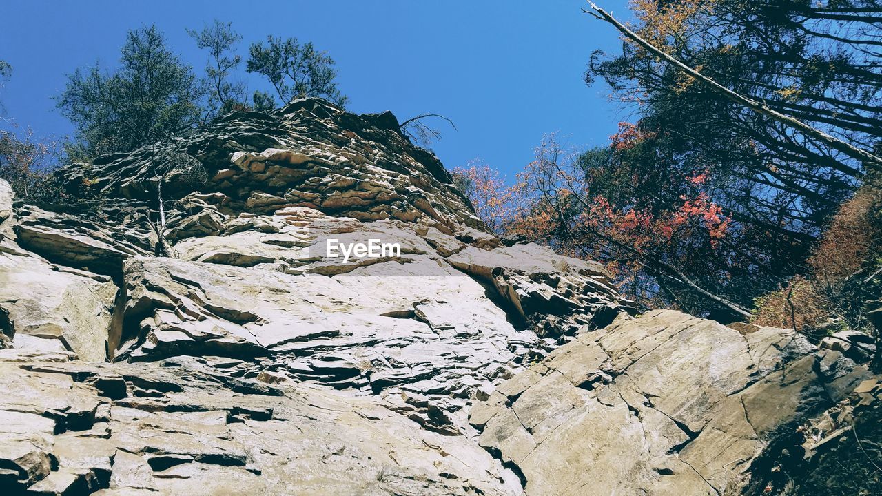 TREES GROWING ON MOUNTAIN AGAINST SKY