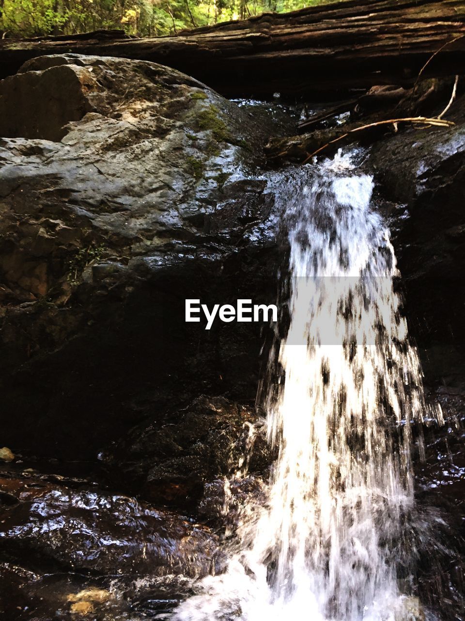 SCENIC VIEW OF RIVER FLOWING THROUGH ROCKS IN FOREST