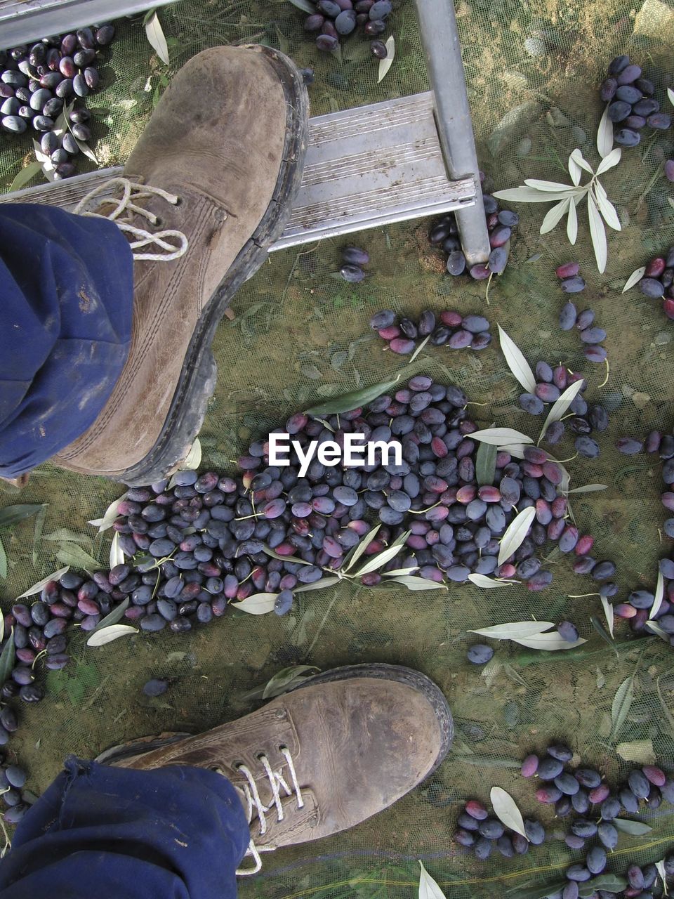 HIGH ANGLE VIEW OF VEGETABLE FOR SALE AT MARKET