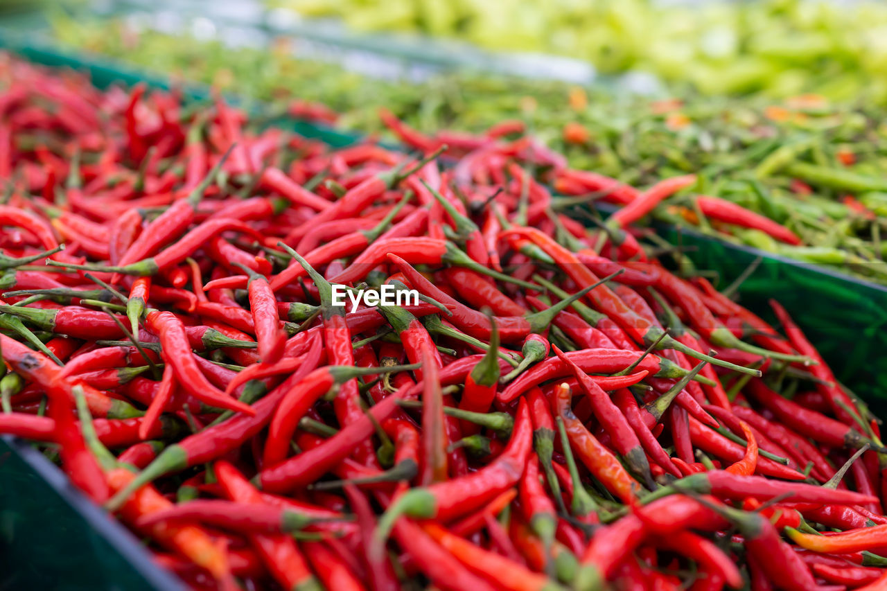 CLOSE-UP OF RED CHILI PEPPERS FOR SALE