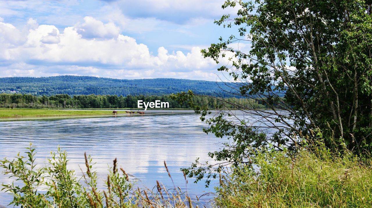 Scenic view of river against cloudy sky