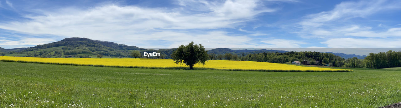 SCENIC VIEW OF LAND AGAINST SKY