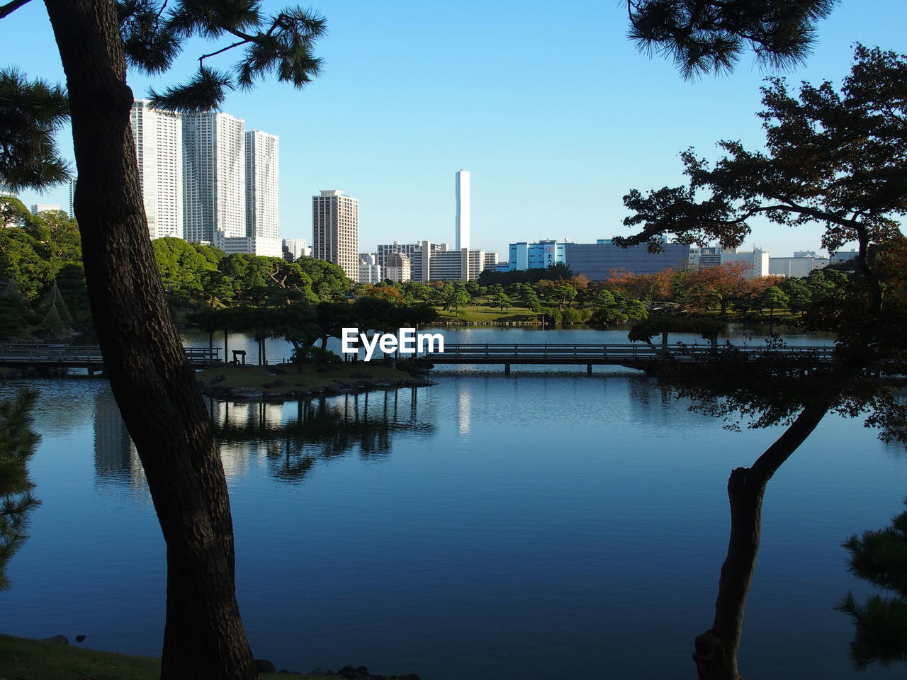 REFLECTION OF TREES IN LAKE AGAINST SKY