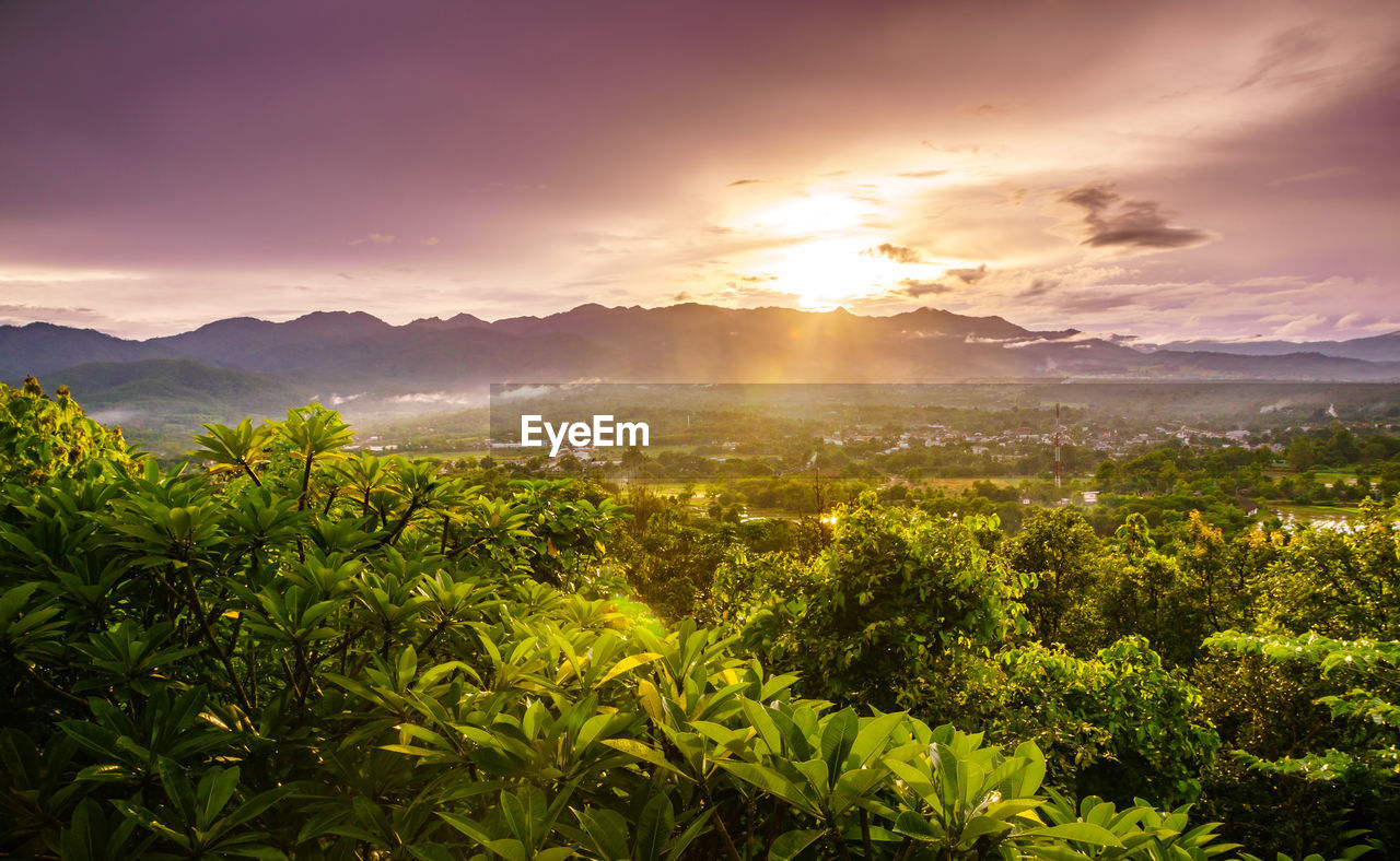 Scenic view of field against sky during sunset