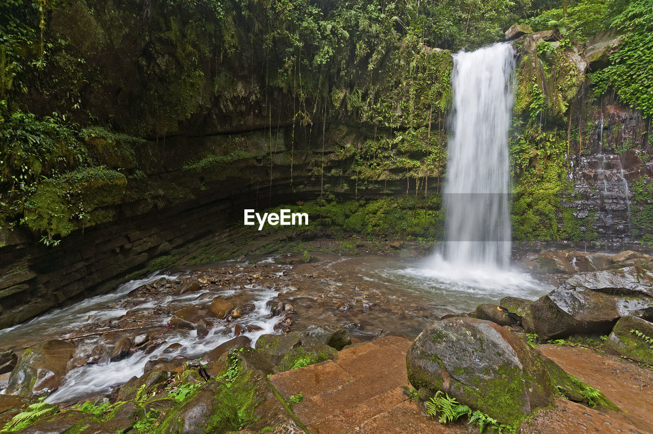 Mahua borneo waterfall