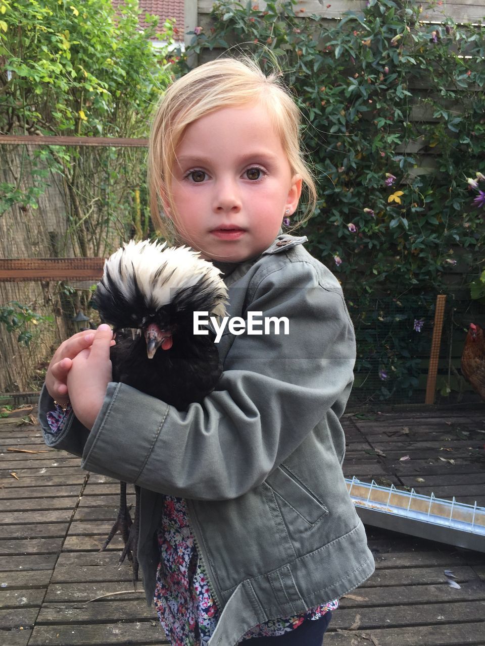 Portrait of girl carrying bird while standing at backyard