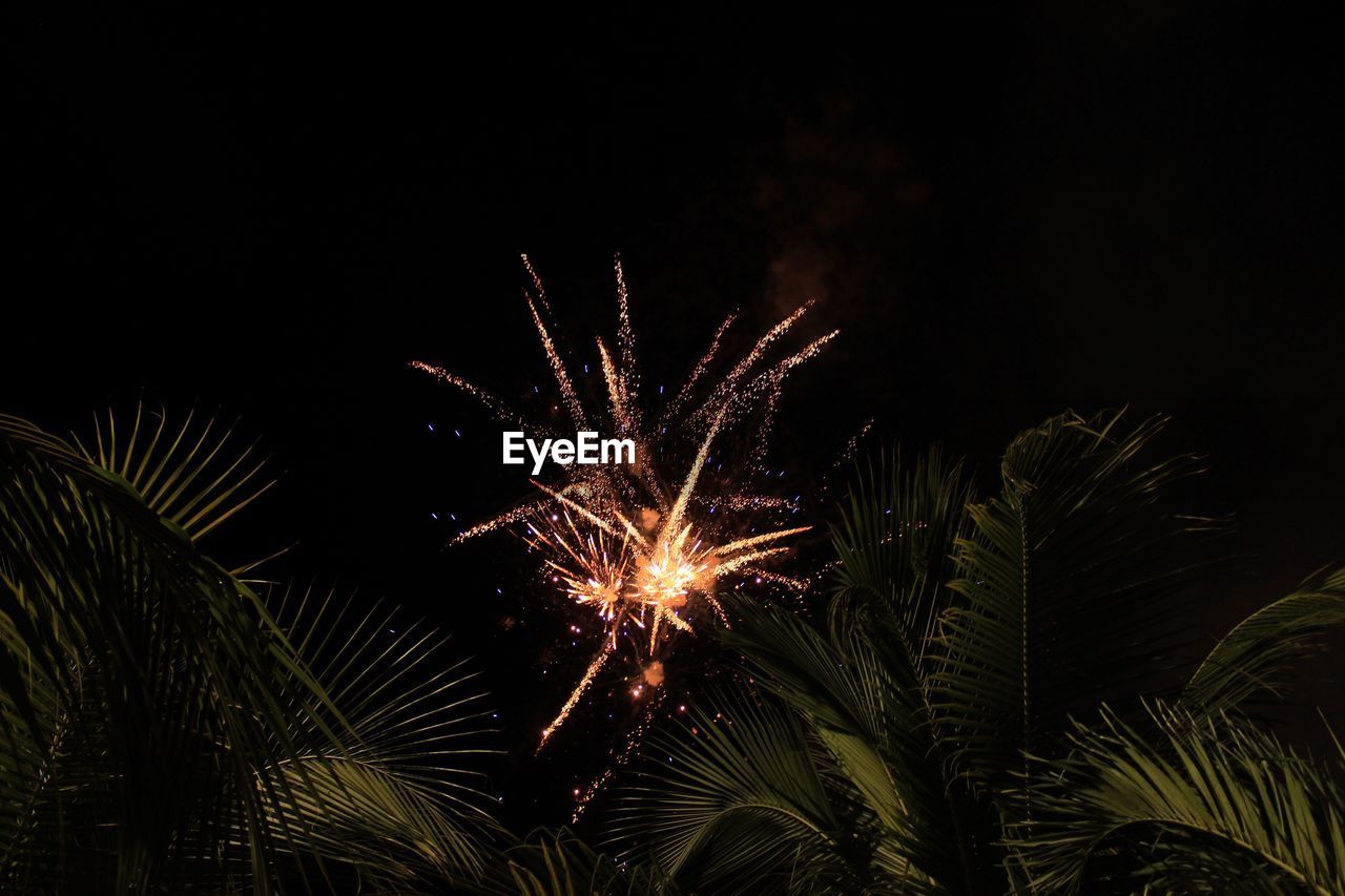 LOW ANGLE VIEW OF FIREWORK DISPLAY AT NIGHT