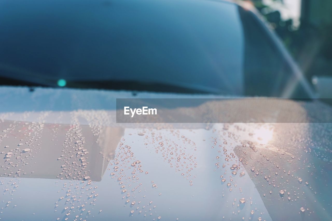 Close-up of raindrops on glass