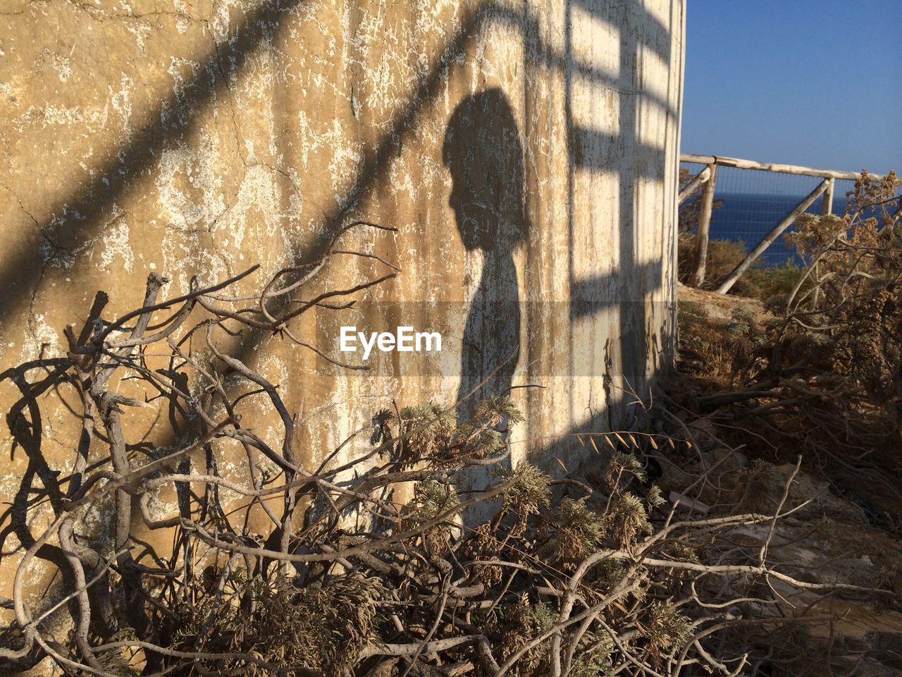 Close-up of shadow on wall