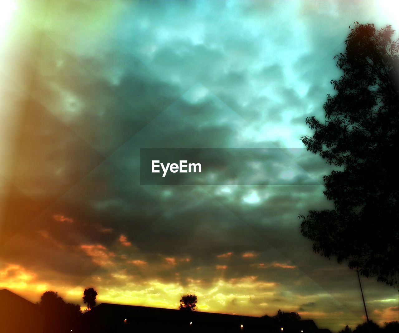 SILHOUETTE OF TREES AGAINST CLOUDY SKY