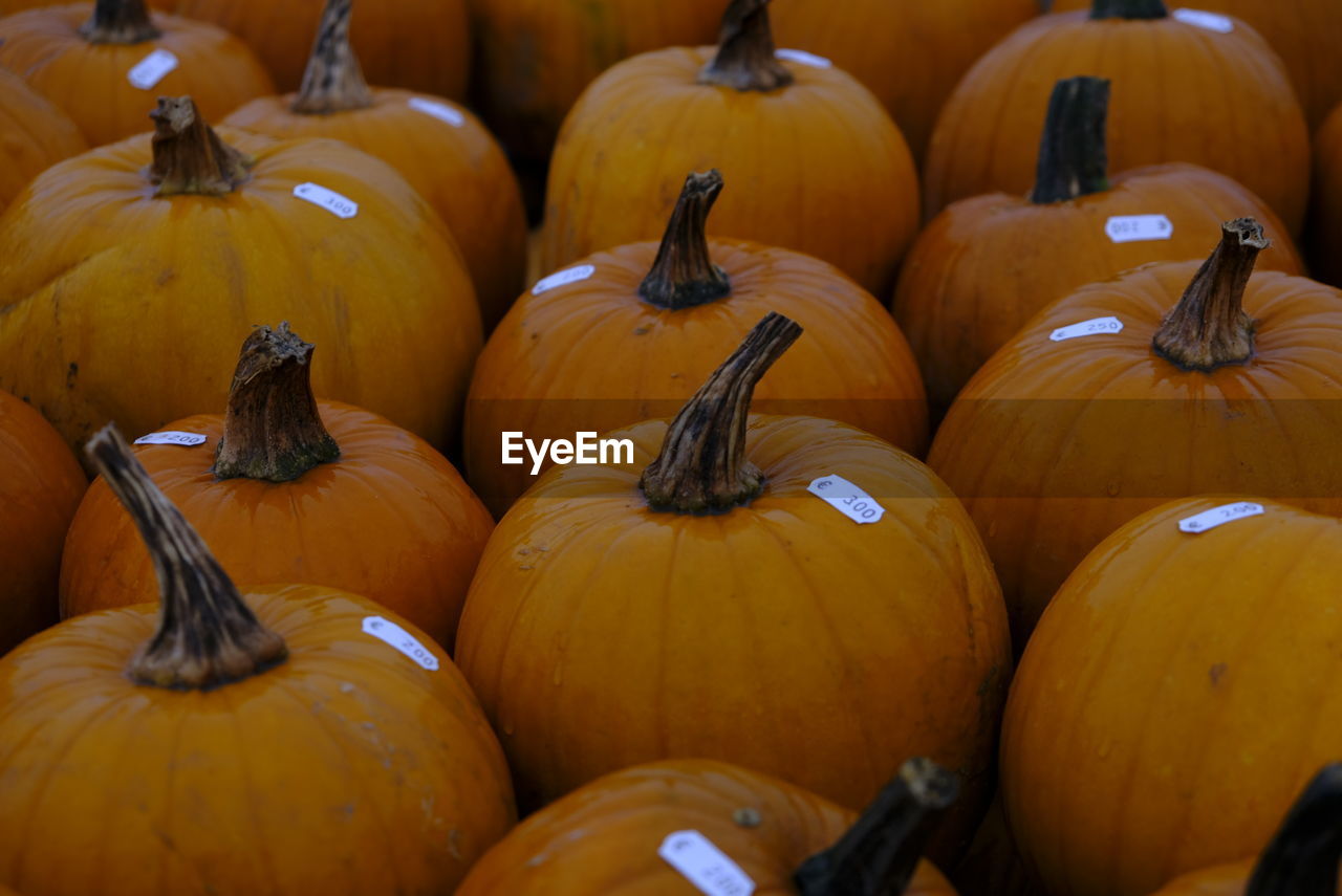 PUMPKINS FOR SALE AT MARKET STALL