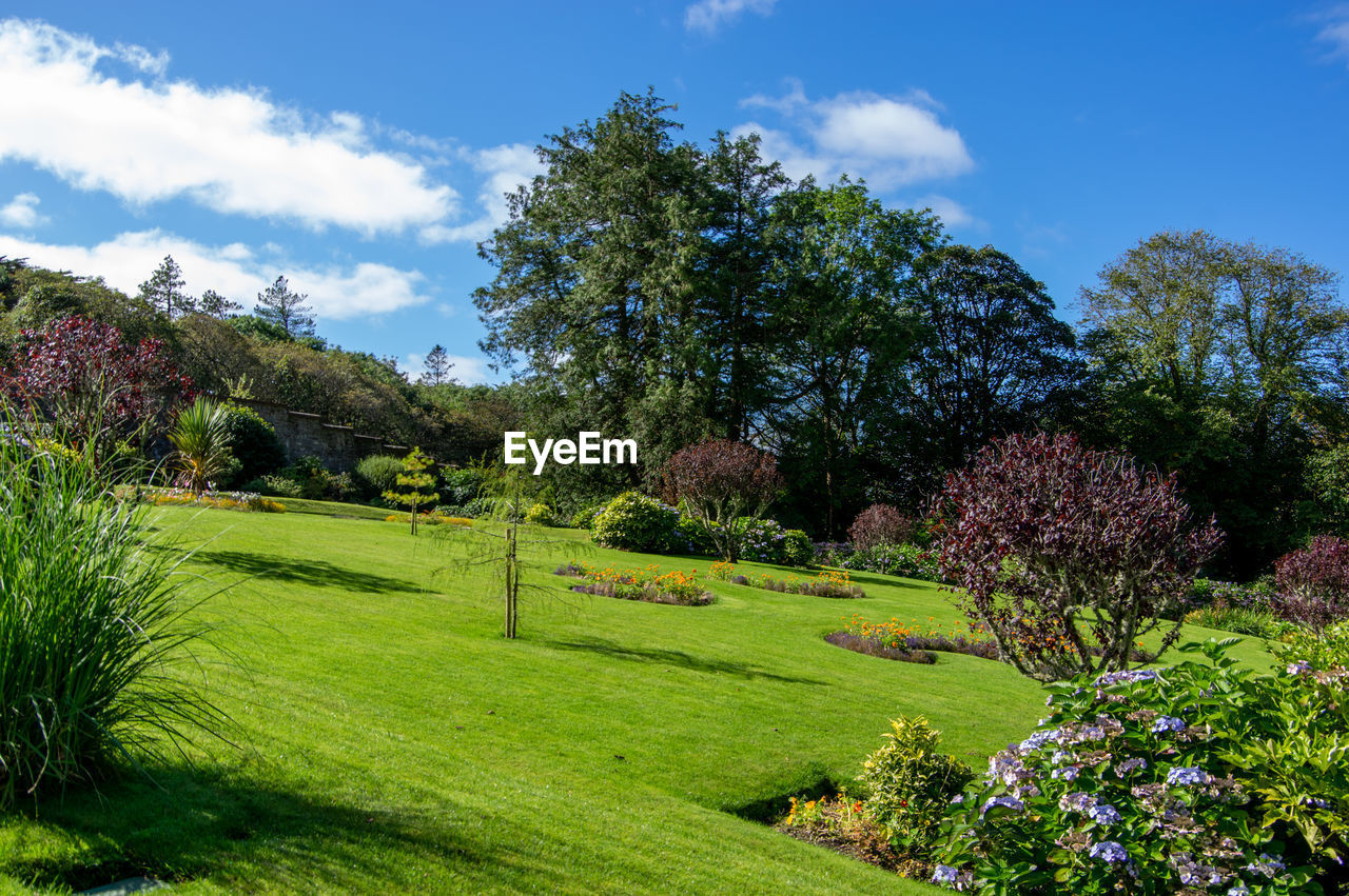 SCENIC VIEW OF TREES ON GRASSY FIELD AGAINST SKY