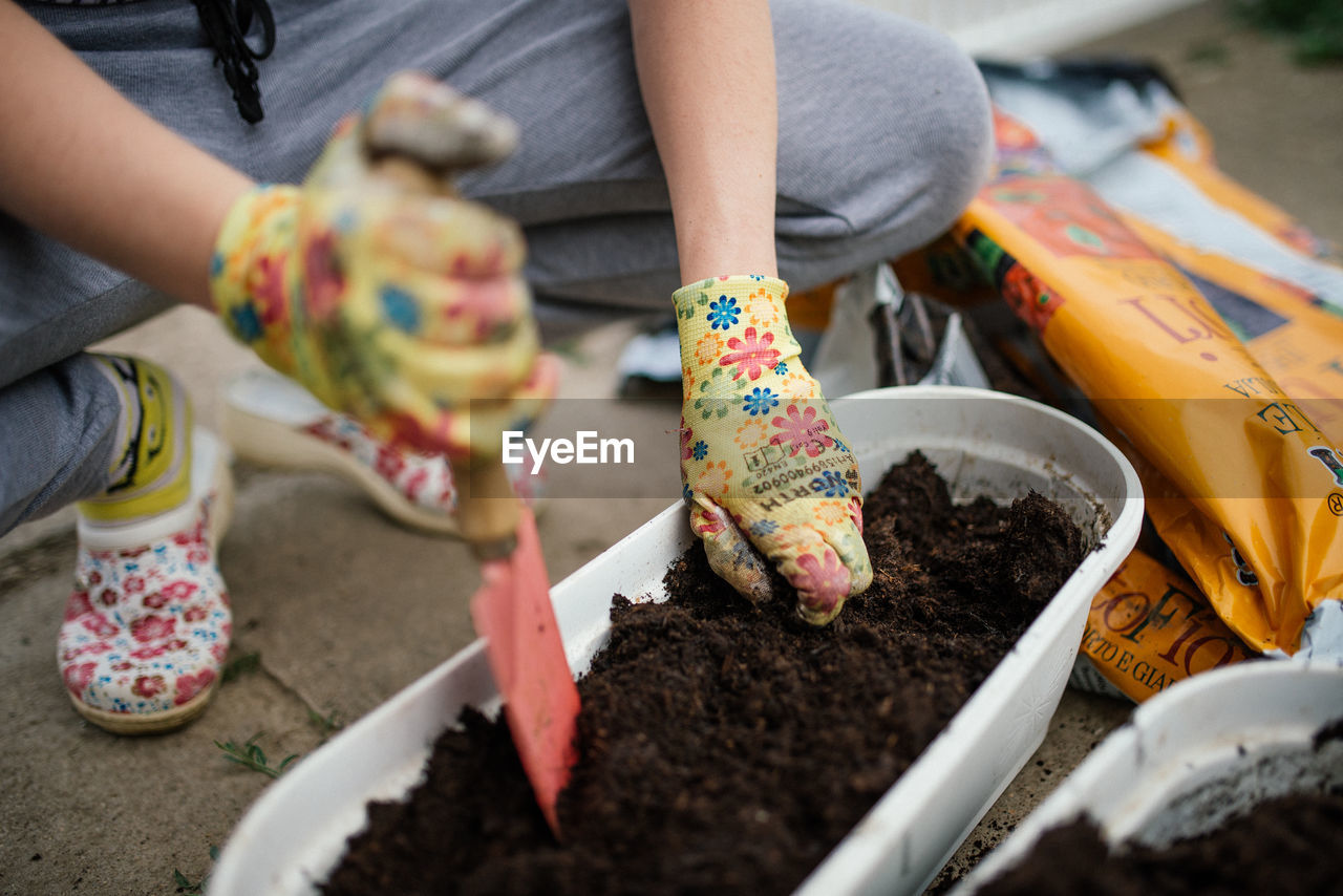 Gardener plants colorful herbs with protective gloves in garden soil.