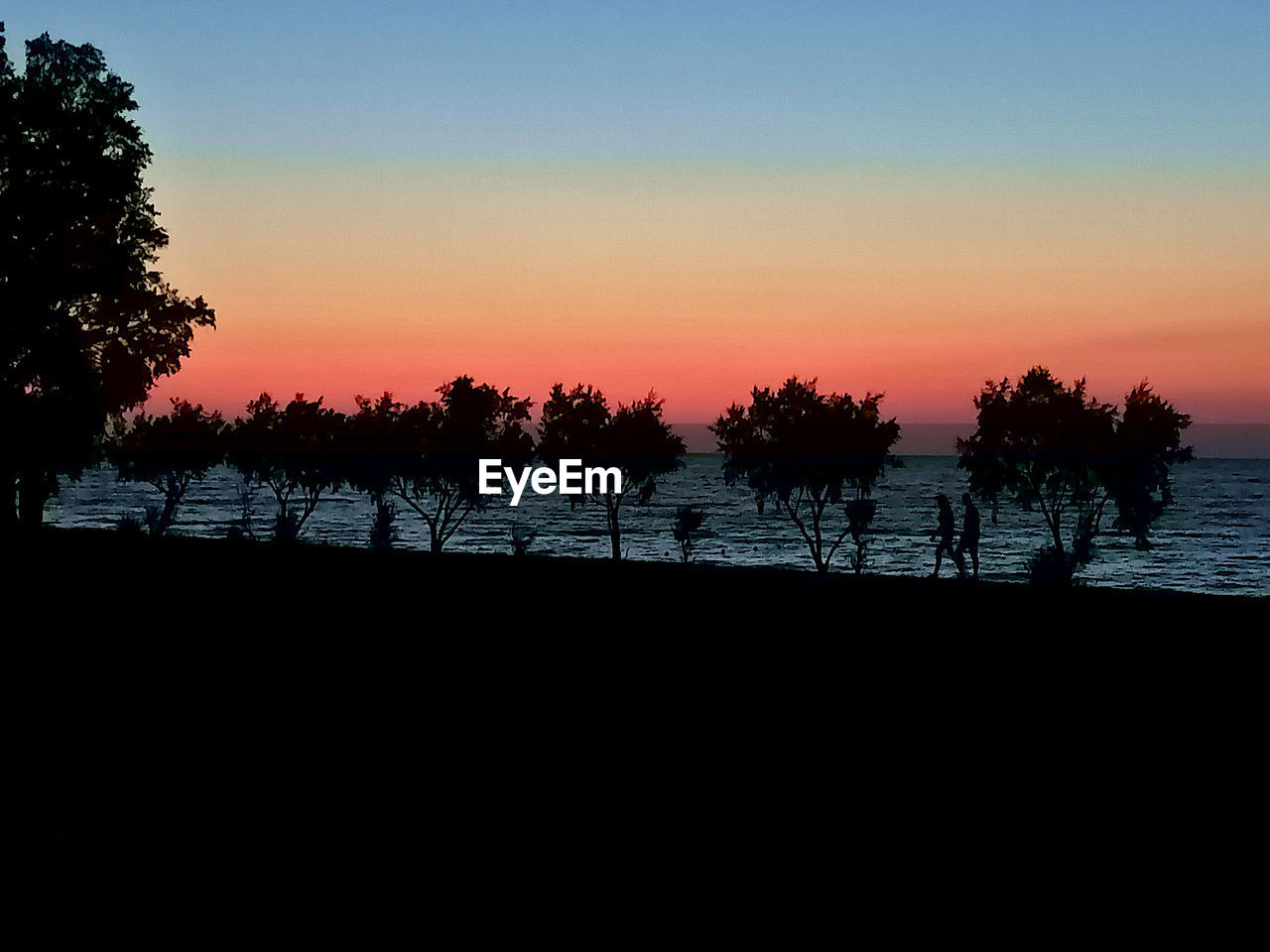 SILHOUETTE TREES BY LAKE AGAINST SKY AT SUNSET