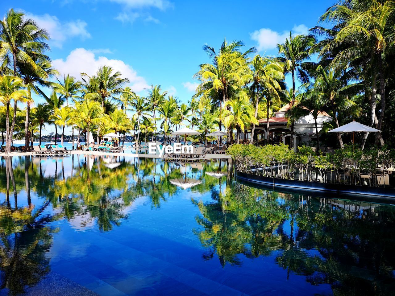 REFLECTION OF PALM TREES IN SWIMMING POOL AGAINST SKY